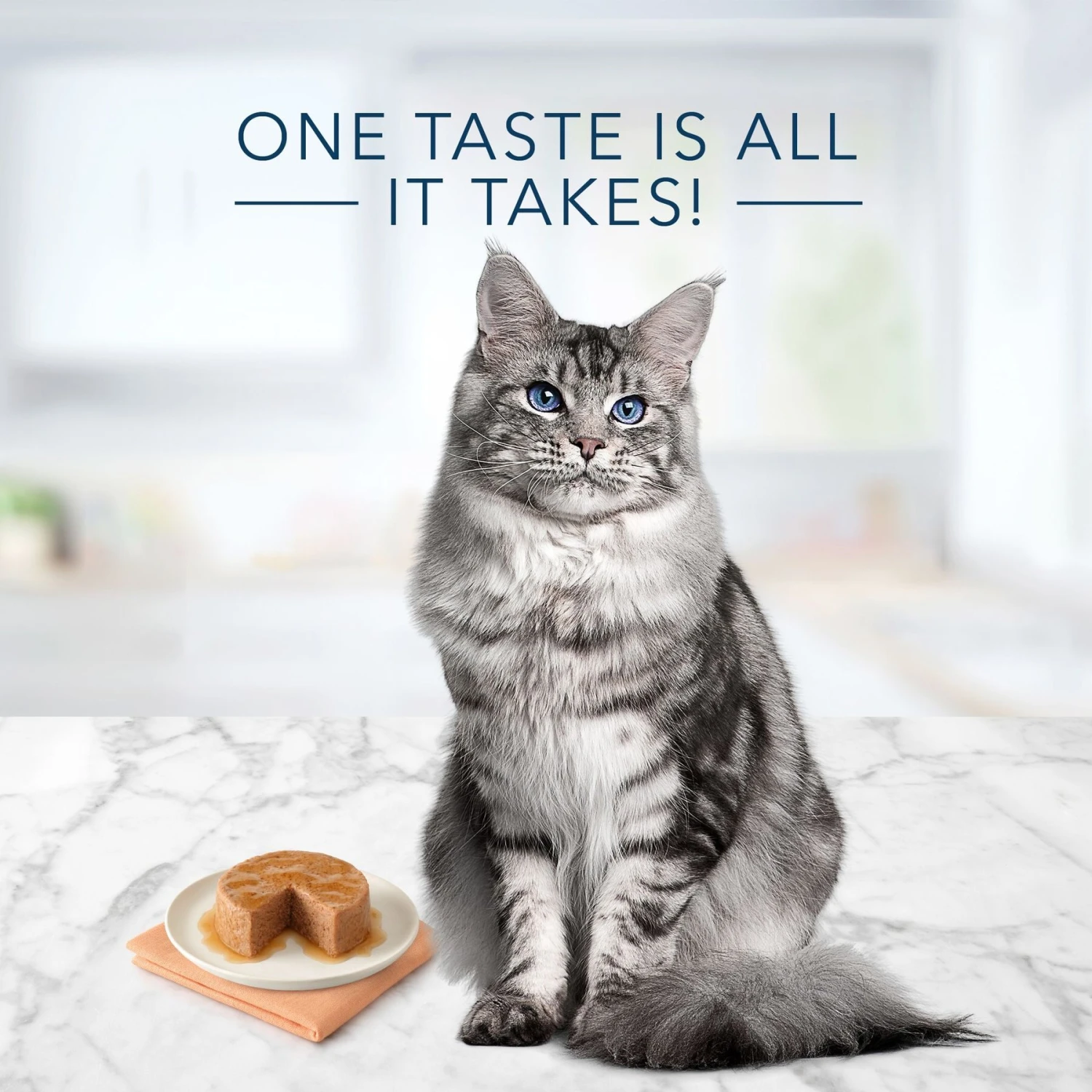 Blue Buffalo Tastefuls Natural Mature Pate Chicken Entree Wet Cat Food, 3-oz Can, Case Of 12 4 Blue Buffalo Tastefuls Natural Mature Pate Chicken Entree Wet Cat Food, 3-oz Can, Case Of 12 - Image 4