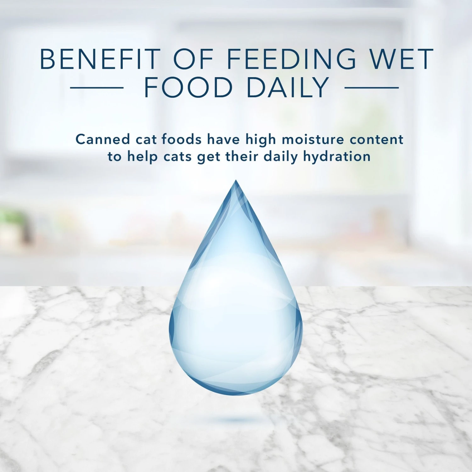 Blue Buffalo Tastefuls Natural Mature Pate Chicken Entree Wet Cat Food, 3-oz Can, Case Of 12 7 Blue Buffalo Tastefuls Natural Mature Pate Chicken Entree Wet Cat Food, 3-oz Can, Case Of 12 - Image 7