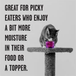 BIXBI Rawbble Beef Pate Wet Food For Cats, 2.75-oz Can, Case Of 24 -Wellness Sales Store 895294 PT3. AC SS1800 V1689017855