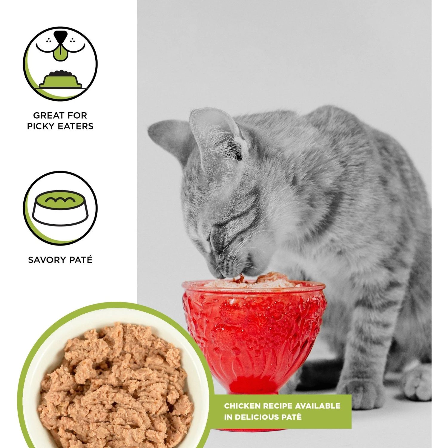 BIXBI Rawbble Chicken Pate Wet Food For Kittens, 2.75-oz Can, Case Of 24 2 BIXBI Rawbble Chicken Pate Wet Food For Kittens, 2.75-oz Can, Case Of 24 - Image 2