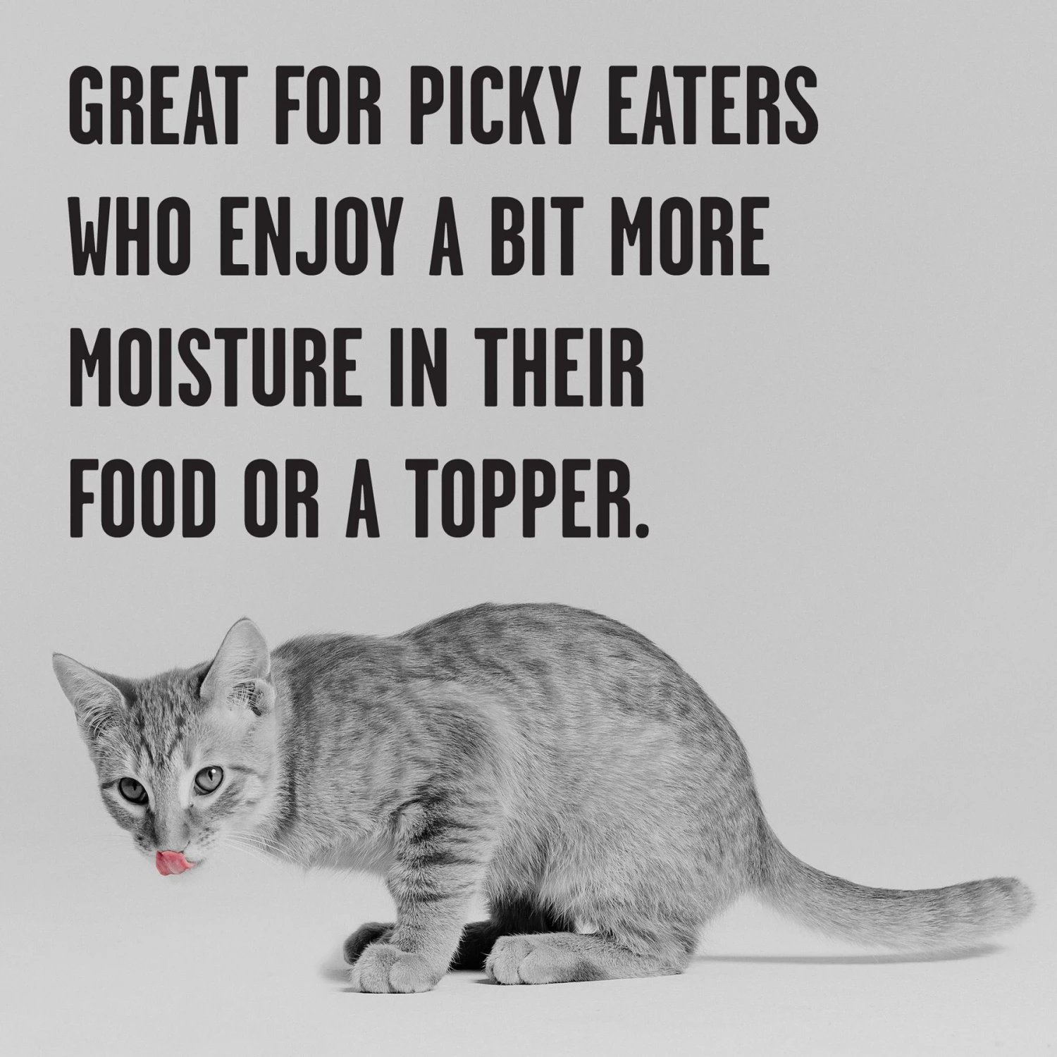 BIXBI Rawbble Chicken Pate Wet Food For Kittens, 2.75-oz Can, Case Of 24 5 BIXBI Rawbble Chicken Pate Wet Food For Kittens, 2.75-oz Can, Case Of 24 - Image 5