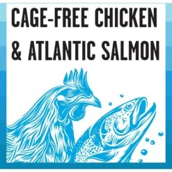 BIXBI Rawbble Chicken & Salmon Shreds In Broth Wet Food For Cats, 2.75-oz Can, Case Of 24 7 BIXBI Rawbble Chicken & Salmon Shreds In Broth Wet Food For Cats, 2.75-oz Can, Case Of 24 -Wellness Sales Store 895342 PT2. AC SS1800 V1689010999