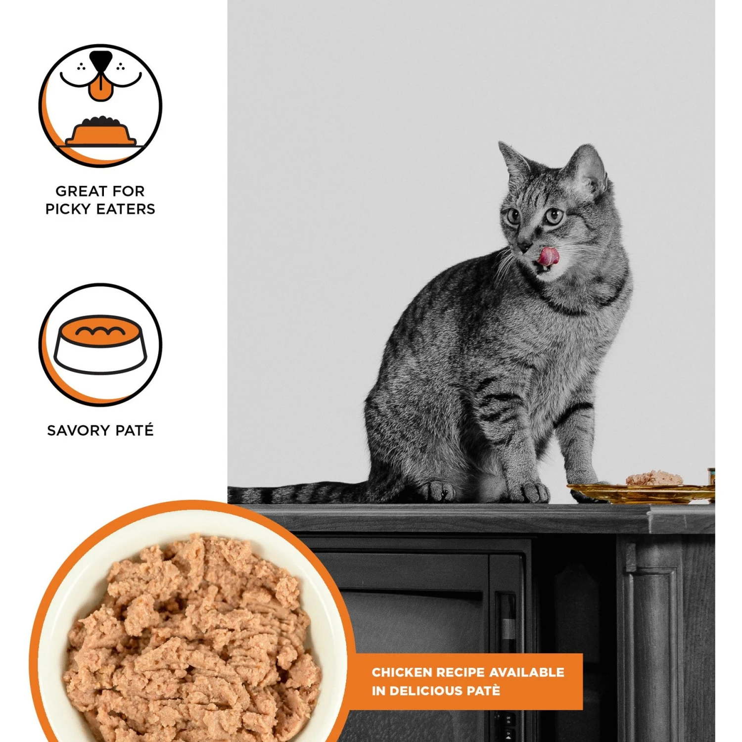BIXBI Rawbble Chicken Pate Wet Food For Cats, 5-oz Can, Case Of 24 2 BIXBI Rawbble Chicken Pate Wet Food For Cats, 5-oz Can, Case Of 24 - Image 2