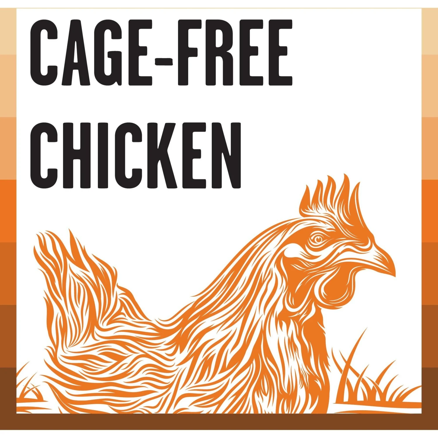 BIXBI Rawbble Chicken Pate Wet Food For Cats, 5-oz Can, Case Of 24 3 BIXBI Rawbble Chicken Pate Wet Food For Cats, 5-oz Can, Case Of 24 - Image 3