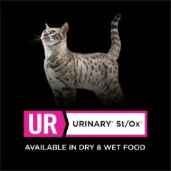 Purina Pro Plan Veterinary Diets UR Urinary St/Ox Savory Selects Salmon In Sauce Wet Cat Food -Wellness Sales Store 89777 PT5. AC SS1800 V1700156713