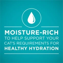 Purina ONE True Instinct Chicken & Turkey Recipe In Gravy Natural High Protein Canned Cat Food, 3-oz, Case Of 24 11 Purina ONE True Instinct Chicken & Turkey Recipe In Gravy Natural High Protein Canned Cat Food, 3-oz, Case Of 24 -Wellness Sales Store 91559 PT2. AC SS1800 V1657661111