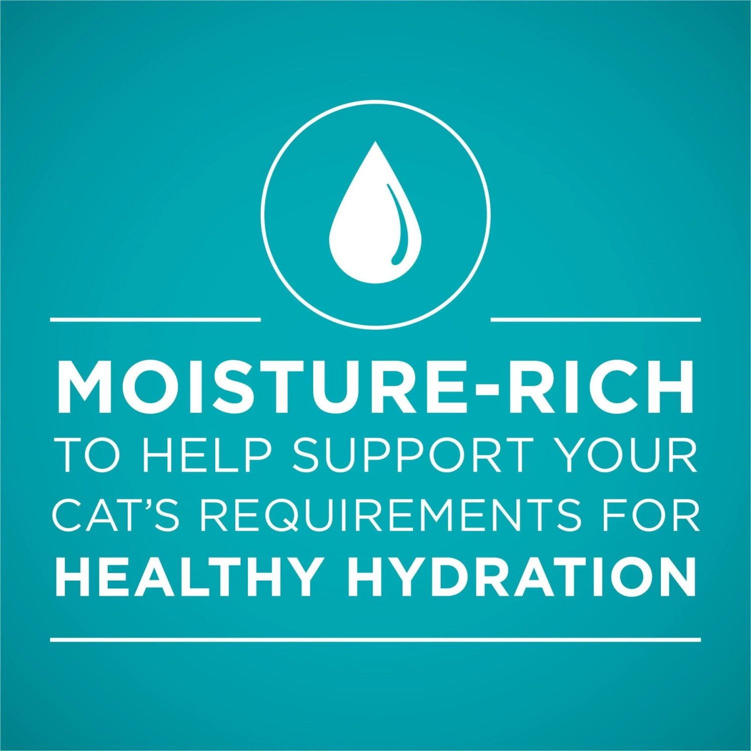 Purina ONE True Instinct Chicken & Turkey Recipe In Gravy Natural High Protein Canned Cat Food, 3-oz, Case Of 24 3 Purina ONE True Instinct Chicken & Turkey Recipe In Gravy Natural High Protein Canned Cat Food, 3-oz, Case Of 24 - Image 3