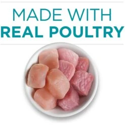 Purina ONE True Instinct Chicken & Turkey Recipe In Gravy Natural High Protein Canned Cat Food, 3-oz, Case Of 24 12 Purina ONE True Instinct Chicken & Turkey Recipe In Gravy Natural High Protein Canned Cat Food, 3-oz, Case Of 24 -Wellness Sales Store 91559 PT3. AC SS1800 V1653491482