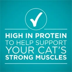 Purina ONE True Instinct Chicken & Turkey Recipe In Gravy Natural High Protein Canned Cat Food, 3-oz, Case Of 24 14 Purina ONE True Instinct Chicken & Turkey Recipe In Gravy Natural High Protein Canned Cat Food, 3-oz, Case Of 24 -Wellness Sales Store 91559 PT5. AC SS1800 V1653531682