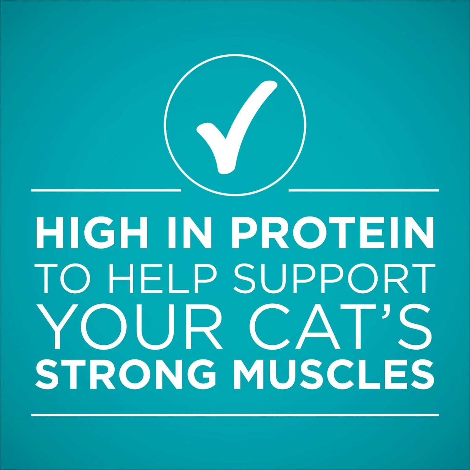 Purina ONE True Instinct Chicken & Turkey Recipe In Gravy Natural High Protein Canned Cat Food, 3-oz, Case Of 24 6 Purina ONE True Instinct Chicken & Turkey Recipe In Gravy Natural High Protein Canned Cat Food, 3-oz, Case Of 24 - Image 6