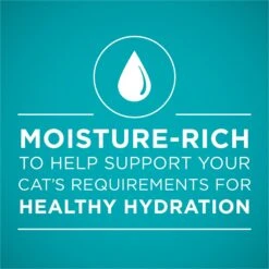 Purina ONE Natural Weight Control Ideal Weight White Meat Chicken Recipe In Sauce Wet Cat Food -Wellness Sales Store 91760 PT2. AC SS1800 V1658227005