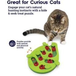 Nina Ottosson By Outward Hound Buggin' Out Puzzle & Play Cat Toy & Doc & Phoebe's Cat Co. Indoor Hunting Cat Feeder Kit 13 Nina Ottosson By Outward Hound Buggin' Out Puzzle & Play Cat Toy & Doc & Phoebe's Cat Co. Indoor Hunting Cat Feeder Kit -Wellness Sales Store 947542 PT4. AC SS1800 V1693925091