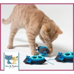 Nina Ottosson By Outward Hound Buggin' Out Puzzle & Play Cat Toy & Doc & Phoebe's Cat Co. Indoor Hunting Cat Feeder Kit 17 Nina Ottosson By Outward Hound Buggin' Out Puzzle & Play Cat Toy & Doc & Phoebe's Cat Co. Indoor Hunting Cat Feeder Kit -Wellness Sales Store 947542 PT8. AC SS1800 V1693600221