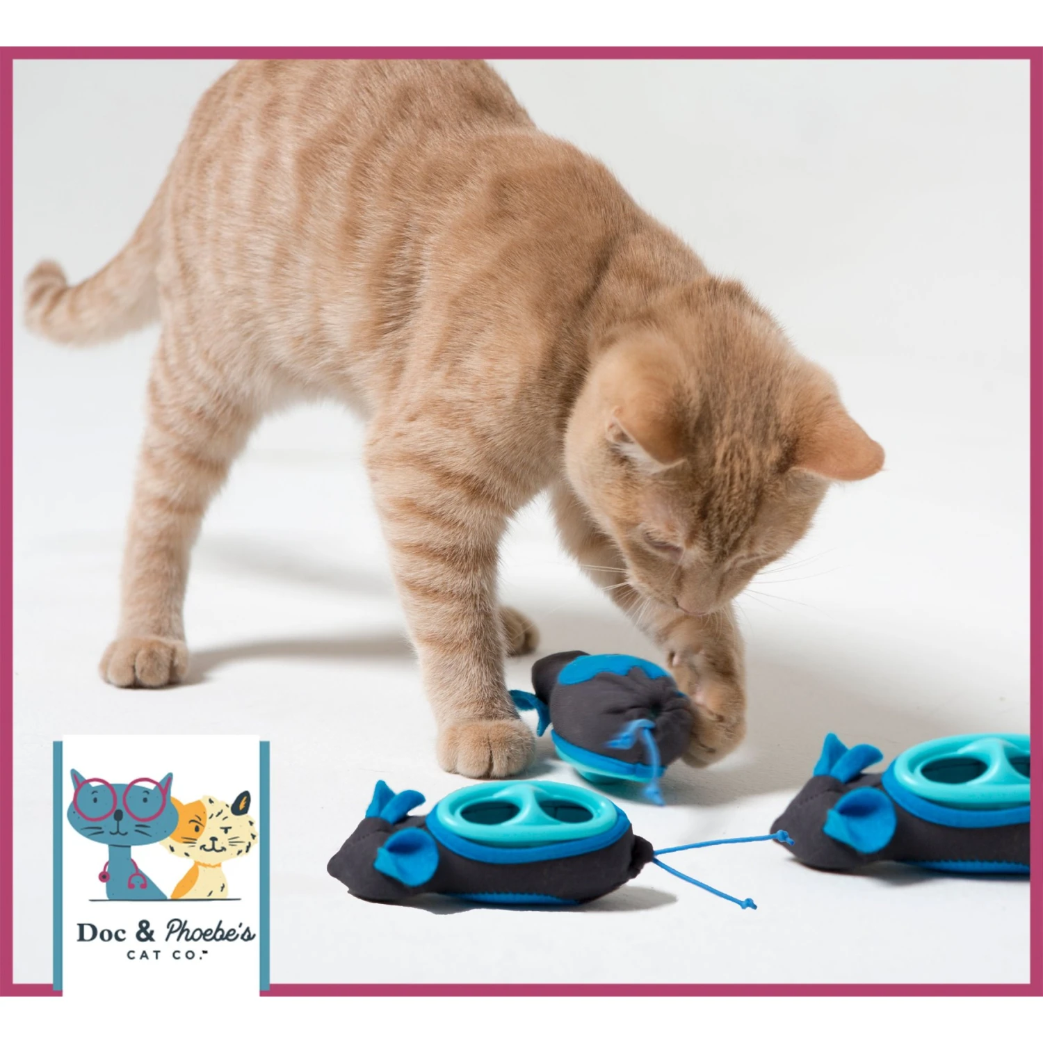 Nina Ottosson By Outward Hound Buggin' Out Puzzle & Play Cat Toy & Doc & Phoebe's Cat Co. Indoor Hunting Cat Feeder Kit 9 Nina Ottosson By Outward Hound Buggin' Out Puzzle & Play Cat Toy & Doc & Phoebe's Cat Co. Indoor Hunting Cat Feeder Kit - Image 9