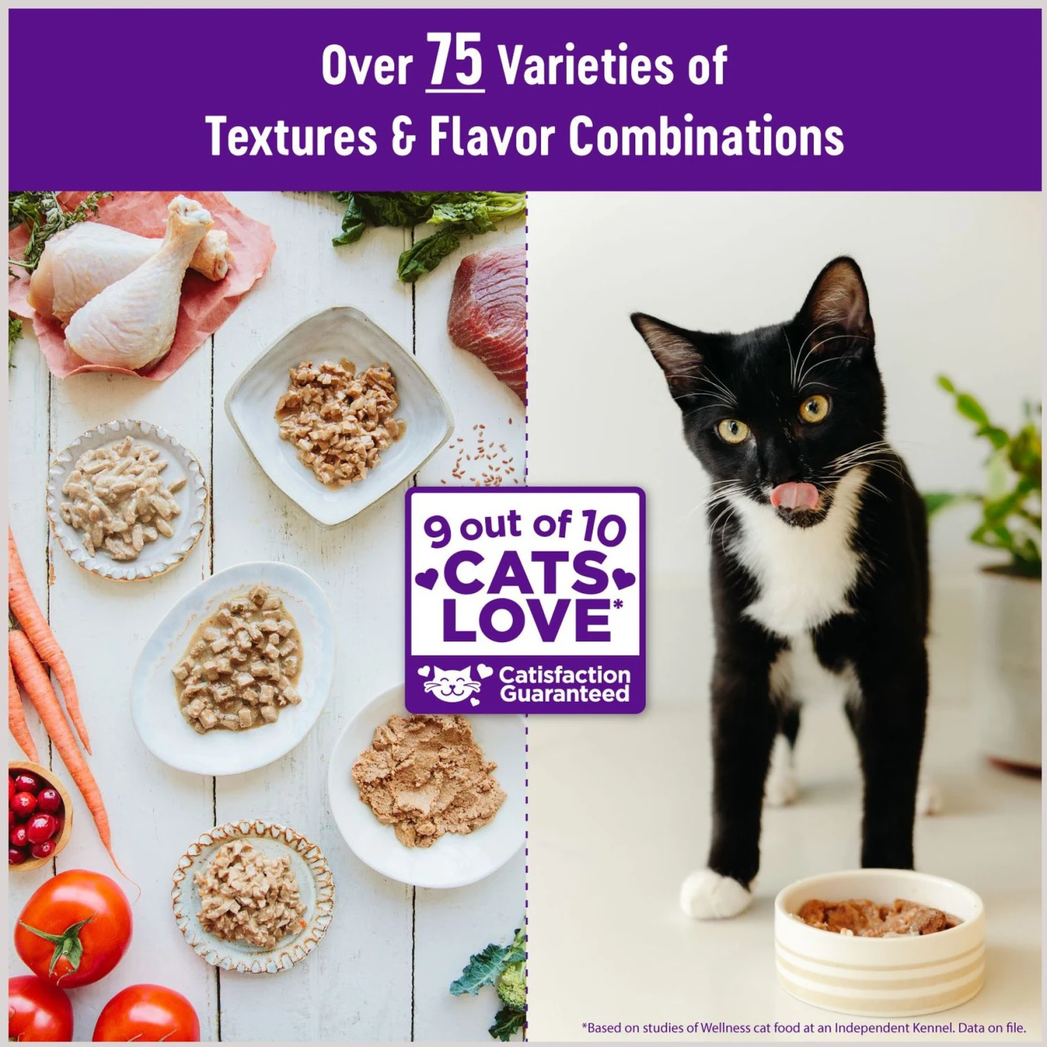Wellness Healthy Indulgence Morsels With Chicken & Chicken Liver In Savory Sauce Grain-Free Wet Cat Food Pouches 2 Wellness Healthy Indulgence Morsels With Chicken & Chicken Liver In Savory Sauce Grain-Free Wet Cat Food Pouches - Image 2