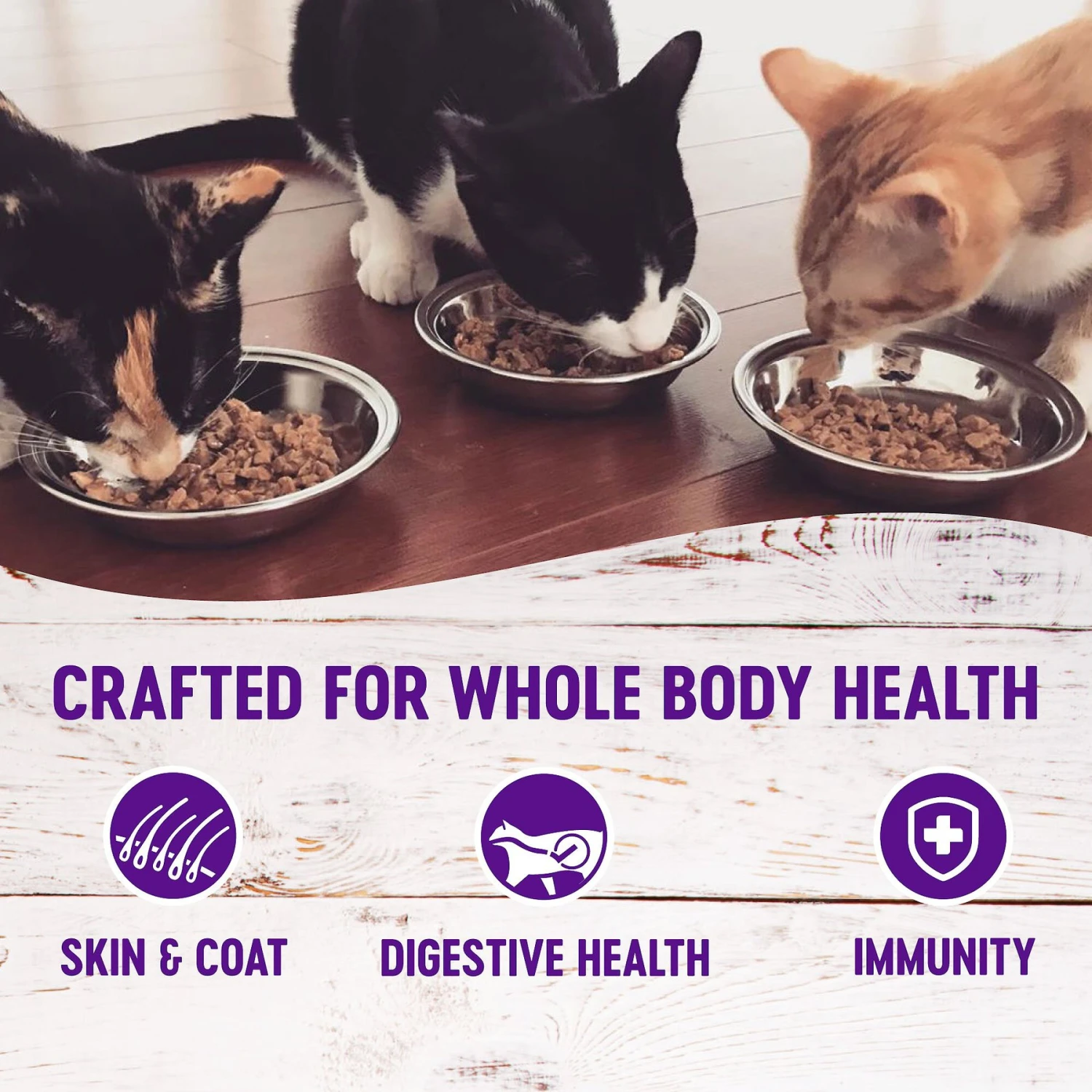 Wellness Healthy Indulgence Morsels With Chicken & Turkey In Savory Sauce Grain-Free Wet Cat Food Pouches 3 Wellness Healthy Indulgence Morsels With Chicken & Turkey In Savory Sauce Grain-Free Wet Cat Food Pouches - Image 3