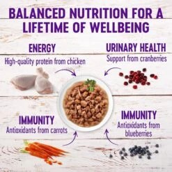 Wellness Healthy Indulgence Morsels With Chicken & Turkey In Savory Sauce Grain-Free Wet Cat Food Pouches 11 Wellness Healthy Indulgence Morsels With Chicken & Turkey In Savory Sauce Grain-Free Wet Cat Food Pouches -Wellness Sales Store 95722 PT3. AC SS1800 V1621990357