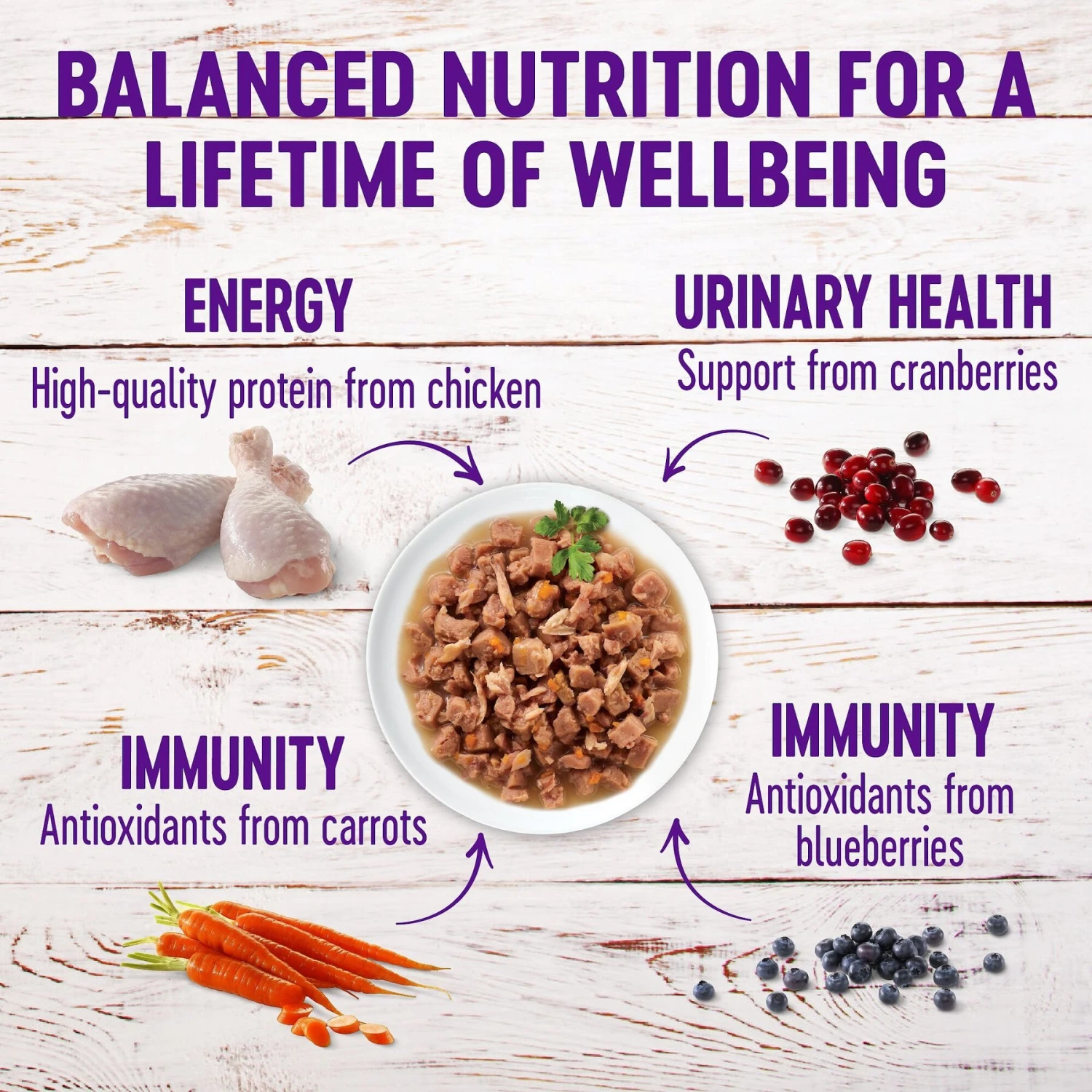 Wellness Healthy Indulgence Morsels With Chicken & Turkey In Savory Sauce Grain-Free Wet Cat Food Pouches 4 Wellness Healthy Indulgence Morsels With Chicken & Turkey In Savory Sauce Grain-Free Wet Cat Food Pouches - Image 4