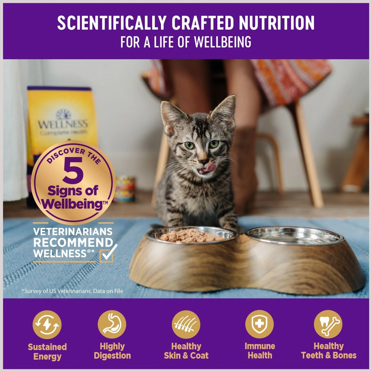 Wellness Healthy Indulgence Morsels With Tuna In Savory Sauce Grain-Free Wet Cat Food Pouches 4 Wellness Healthy Indulgence Morsels With Tuna In Savory Sauce Grain-Free Wet Cat Food Pouches - Image 4