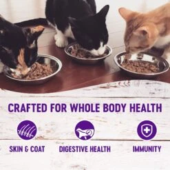 Wellness Healthy Indulgence Morsels With Turkey & Duck In Savory Sauce Grain-Free Wet Cat Food Pouches -Wellness Sales Store 95729 PT2. AC SS1800 V1621990370