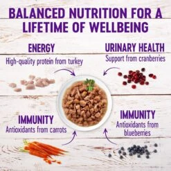 Wellness Healthy Indulgence Morsels With Turkey & Duck In Savory Sauce Grain-Free Wet Cat Food Pouches -Wellness Sales Store 95729 PT3. AC SS1800 V1621989196