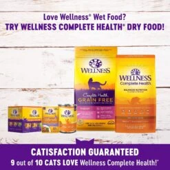 Wellness Healthy Indulgence Morsels With Turkey & Duck In Savory Sauce Grain-Free Wet Cat Food Pouches -Wellness Sales Store 95729 PT4. AC SS1800 V1621988552