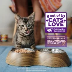 Wellness Healthy Indulgence Shreds With Chicken & Turkey In Light Sauce Grain-Free Wet Cat Food Pouches -Wellness Sales Store 95731 PT2. AC SS1800 V1695828648