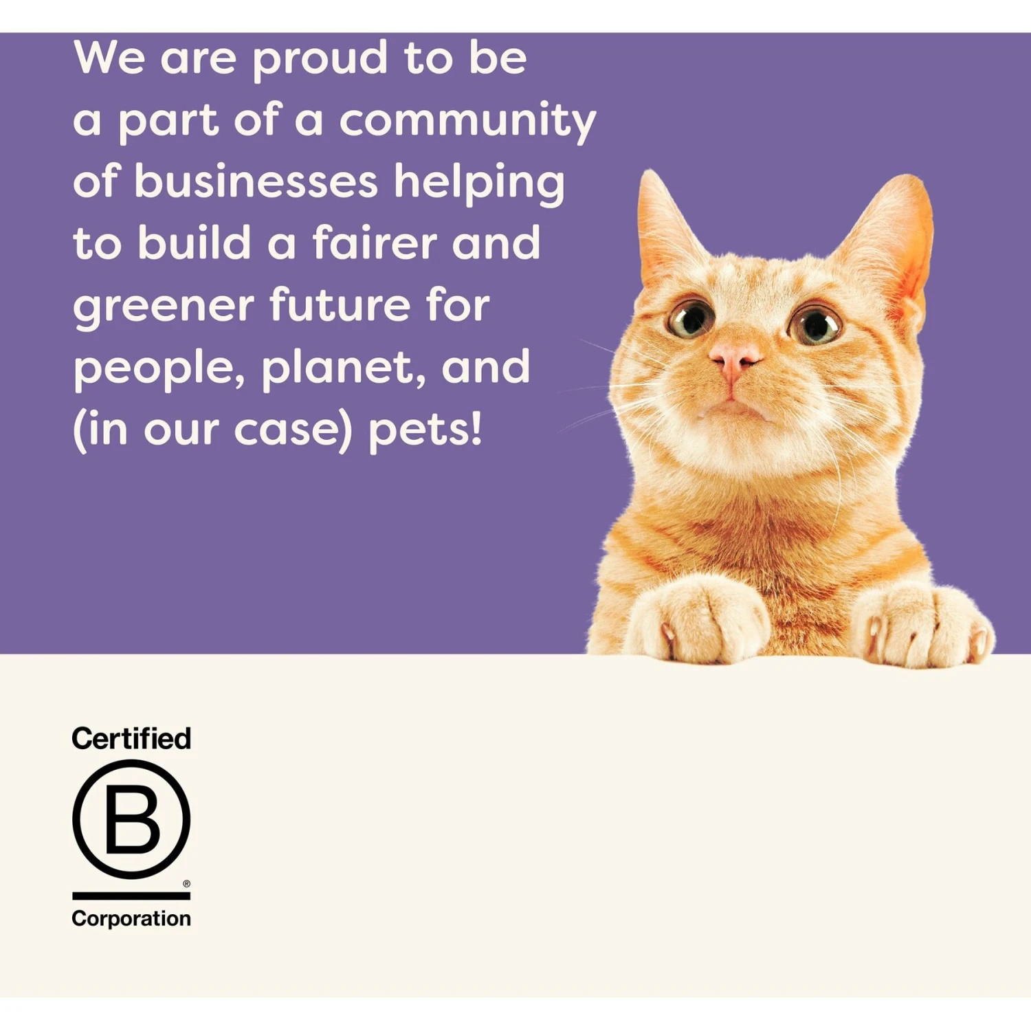 Applaws Tuna Flavors In Gravy Variety Pack Wet Cat Food, 2.47-oz Can, Case Of 12 6 Applaws Tuna Flavors In Gravy Variety Pack Wet Cat Food, 2.47-oz Can, Case Of 12 - Image 6