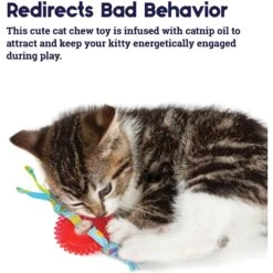 Catstages Fresh Breath Mint Stick Cat Chew Toy & Catstages Dental Kitty Chew Wheel Cat Chew Toy -Wellness Sales Store 961990 PT8. AC SS1800 V1694784008