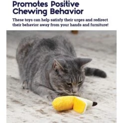 Catstages Dental Banana Cat Chew Toy With Catnip & Catstages Fresh Breath Mint Stick Cat Chew Toy -Wellness Sales Store 962038 PT4. AC SS1800 V1694783952