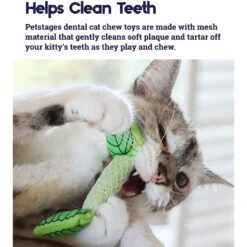 Catstages Dental Banana Cat Chew Toy With Catnip & Catstages Fresh Breath Mint Stick Cat Chew Toy -Wellness Sales Store 962038 PT7. AC SS1800 V1694783953