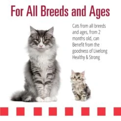 Livelong Healthy & Strong Yummy Meats Wet Cat Food, 5.5-oz Can, 24 Count -Wellness Sales Store 964158 PT3. AC SS1800 V1697117630