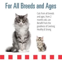 Livelong Healthy & Strong Yummy Seafood Wet Cat Food, 5.5-oz Can, 24 Count -Wellness Sales Store 964174 PT3. AC SS1800 V1697117690