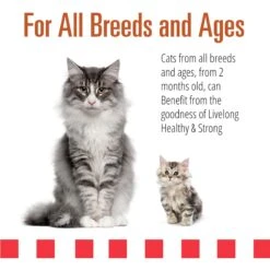 Livelong Healthy & Strong Yummy Turducken Wet Cat Food, 5.5-oz Can, 24 Count -Wellness Sales Store 964190 PT3. AC SS1800 V1697117316