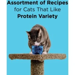 BIXBI LIBERTY Chicken, Salmon & Tuna Recipe Grain-Free Wet Cat Food, 2.75-oz Can, Case Of 12 -Wellness Sales Store 972526 PT3. AC SS1800 V1698683543