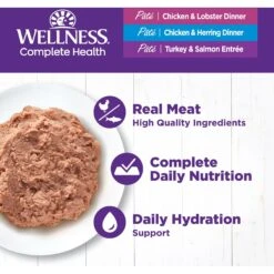 Wellness Complete Health Seafood Pate Favorites Variety Pack Grain-Free Wet Cat Food, 3-oz Can, Case Of 12 10 Wellness Complete Health Seafood Pate Favorites Variety Pack Grain-Free Wet Cat Food, 3-oz Can, Case Of 12 -Wellness Sales Store 984646 PT2. AC SS1800 V1699642708