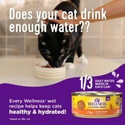 Wellness Complete Health Seafood Pate Favorites Variety Pack Grain-Free Wet Cat Food, 3-oz Can, Case Of 12 11 Wellness Complete Health Seafood Pate Favorites Variety Pack Grain-Free Wet Cat Food, 3-oz Can, Case Of 12 -Wellness Sales Store 984646 PT3. AC SS1800 V1699642707