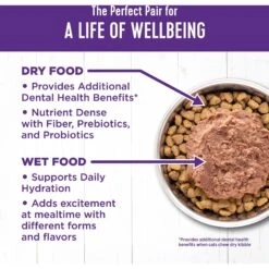 Wellness Complete Health Seafood Pate Favorites Variety Pack Grain-Free Wet Cat Food, 3-oz Can, Case Of 12 13 Wellness Complete Health Seafood Pate Favorites Variety Pack Grain-Free Wet Cat Food, 3-oz Can, Case Of 12 -Wellness Sales Store 984646 PT5. AC SS1800 V1699642706