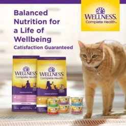 Wellness Complete Health Seafood Pate Favorites Variety Pack Grain-Free Wet Cat Food, 3-oz Can, Case Of 12 15 Wellness Complete Health Seafood Pate Favorites Variety Pack Grain-Free Wet Cat Food, 3-oz Can, Case Of 12 -Wellness Sales Store 984646 PT7. AC SS1800 V1699642706