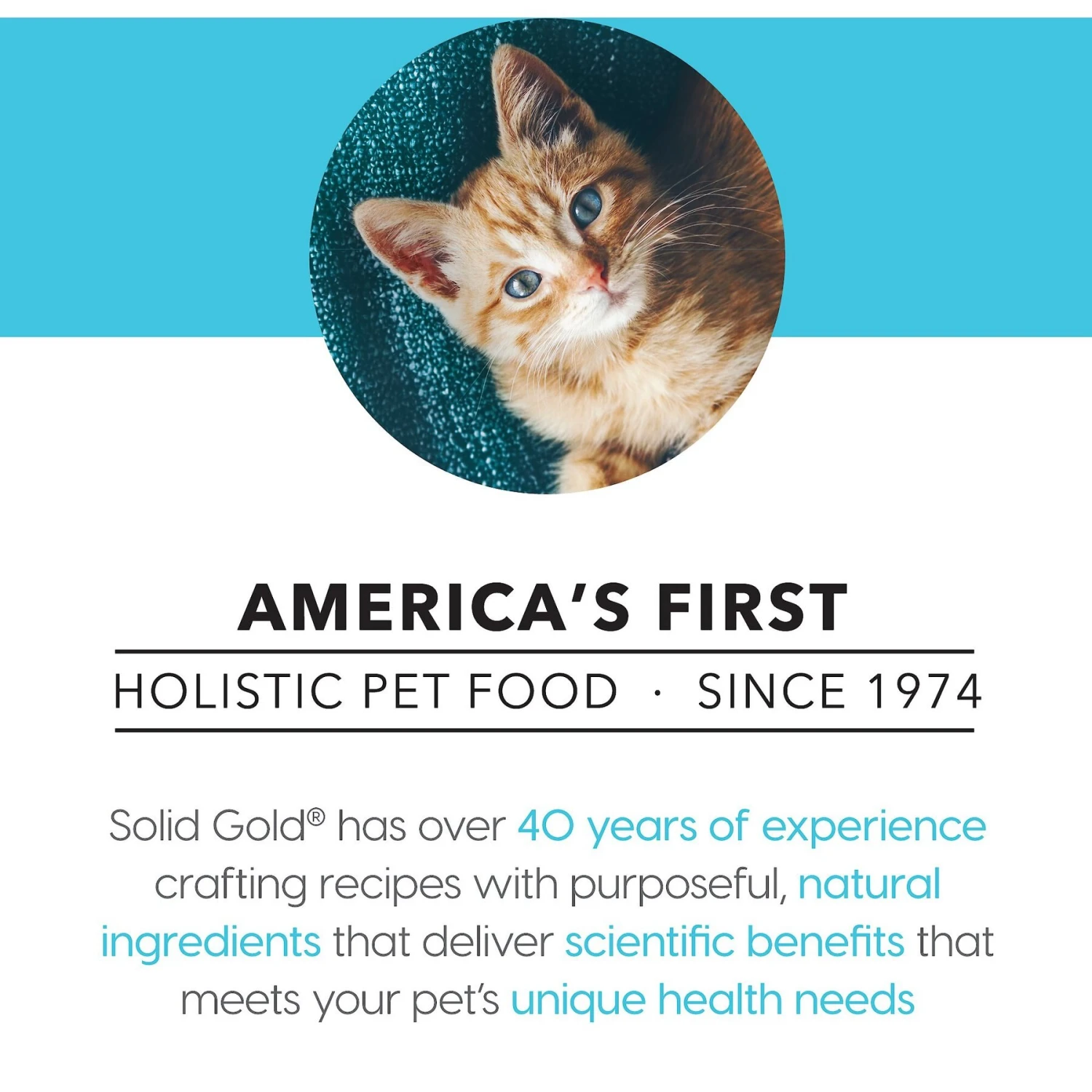 Solid Gold Holistic Delights Creamy Bisque With Chicken & Coconut Milk Grain-Free Cat Food Pouches 6 Solid Gold Holistic Delights Creamy Bisque With Chicken & Coconut Milk Grain-Free Cat Food Pouches - Image 6